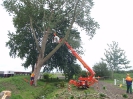 Rund ums Holz_2